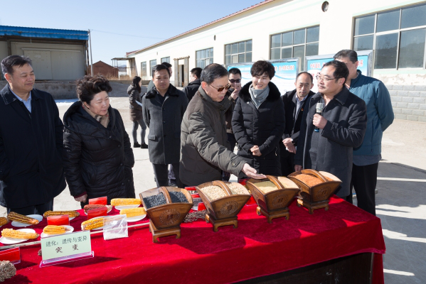 圖片3.png 圖片3.png